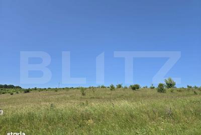 Spațiu comercial, în Sălicea - 1