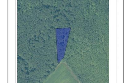 Teren Construcții extravilan de 5000 mp, în Costești - 2