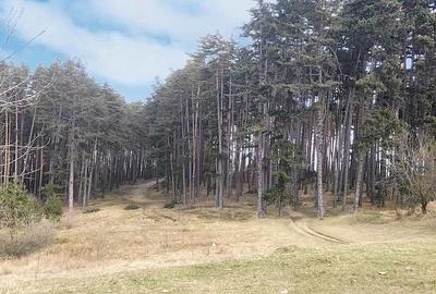 Teren de 3000 mp, în Poiana Angelescu - 2