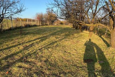 Teren de vanzare ideal pentru cabana Ra?inari, jud. Sibiu (2000 mp - 1