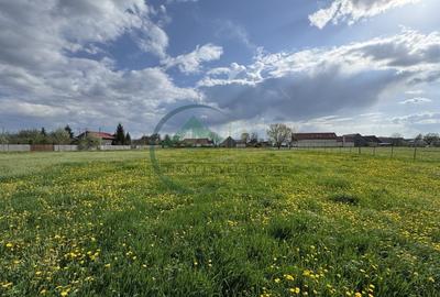 Teren Sat Bacel 6200 mp - 5