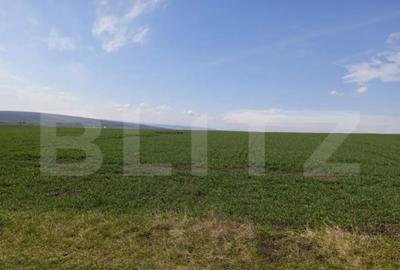 Teren de 4666 mp, în Central - 1