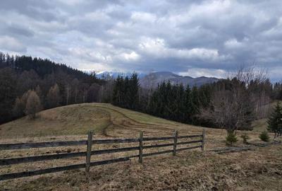 Teren de 3040 mp, în Bran - 3