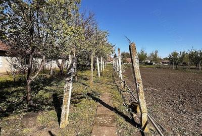 Casă cu 3 camere cu Teren 1440 Mp în Iratoșu - 2