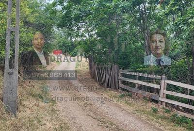 Teren generos 2240 mp cu casă bătrânească - Copăcești, județul Vrancea - 4