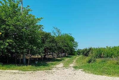 Teren agricol intravilan de 5800 mp, în Valter Mărăcineanu - 1