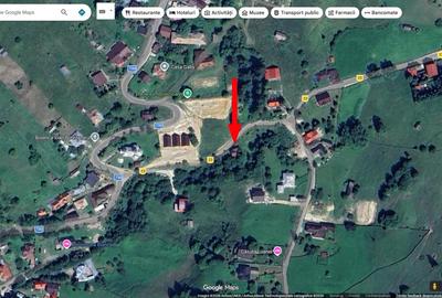 Casă individuală cu 3 camere cu Teren 800 Mp în Dâmbovicioara - 4