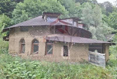 Casă cu 6 camere cu Teren 2700 Mp în Bradu - 6