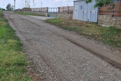 Teren de 400 mp, în Sărulești - 5