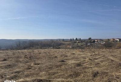 Spațiu comercial, în Feleacu - 3