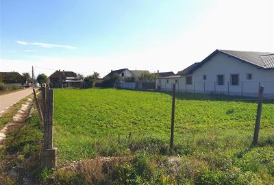 Casa cu teren mare in Cefa cu triplu front stradal - 16