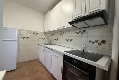 Apartament 2 camere | Grivita  | 1MAI | renovat | CENTRALA proprie | - 13