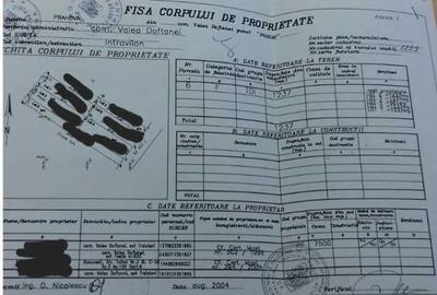 Spațiu comercial, în Trăisteni - 7