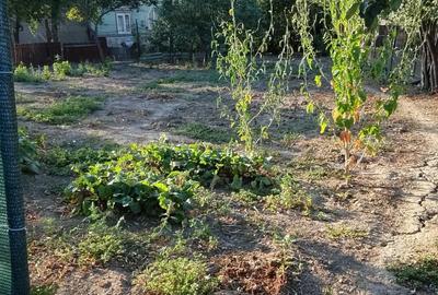 Casă cu Teren 700 Mp în Corbii Mari