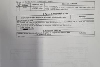 Teren de vanzare intravilan Cornesti Dambovita 2.440 mp - 6