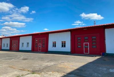 Proprietate industriala complet utilata – ideala pentru productie, depozitare - 2