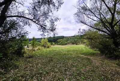 Teren de 7300 mp, în Drăganu