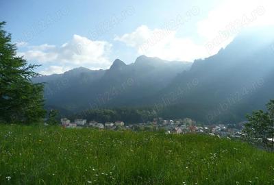 Teren în Valea Alba - 5