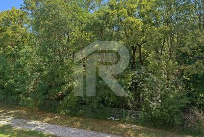 Apartament premium cu vedere integrala la Padurea Baneasa - Panoramic - 5