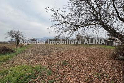 Casă cu 4 camere în Șoimuș - 13