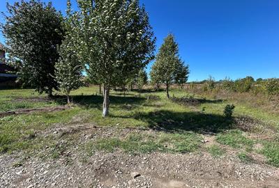 Teren intravilan Turturesti Teren intravilan Turturesti - 1