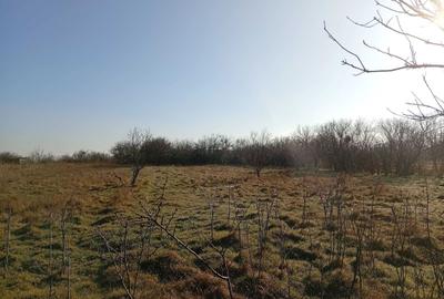 Spațiu comercial, în Central - 3