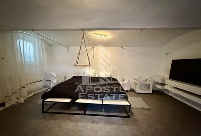 Apartament renovat cu o camera si curte, 2 bai, 50 mp, Pi... - 13