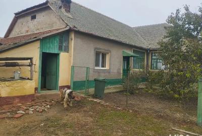 Vand casa in loc Toager, jud Timis - 3