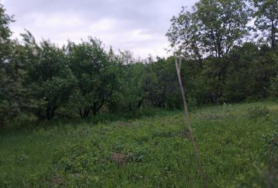 65000euro!!Bucium!Teren intravilan 1500mp,asfalt! 65000euro!!Bucium!Teren intravilan 1500mp,asfalt! - 4