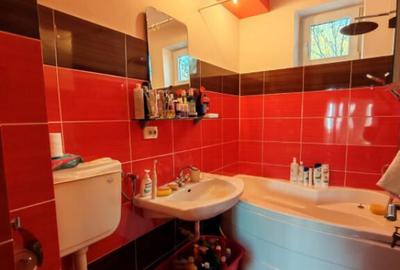 Apartament cu 2 camere semidecomandat în Săsar