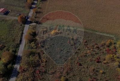 Teren agricol intravilan de 2556 mp, în Pădureni (Chinteni) - 5