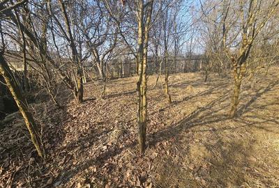 Casă cu 4 camere cu Teren 1000 Mp în Vâlcănești - 7