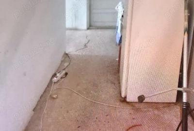 Casă cu 5 camere în Fundata - 6