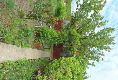 Casă cu 4 camere cu Teren 2093 Mp în Murgești - 3