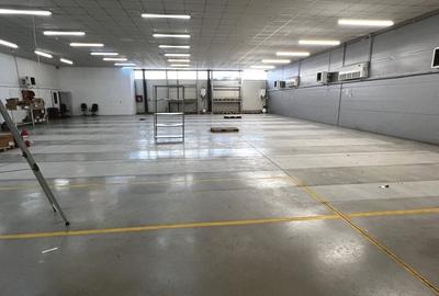 Hala moderna / Productie / Depozitare / Depozit farma - 3