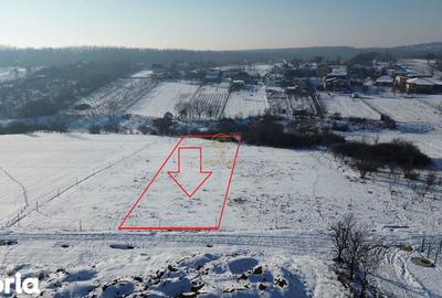 Teren de 1439 mp, în Viile Satu Mare - 6
