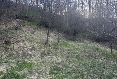 Teren de 2800 mp, în Văleni-Dâmbovița - 2