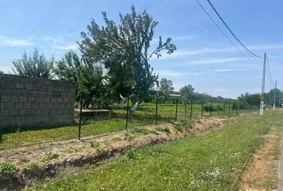 Vand casa la tara - 3