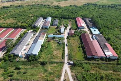 Spatiu industrial de 120mp de inchiriat in zona Exterior Sud - 7