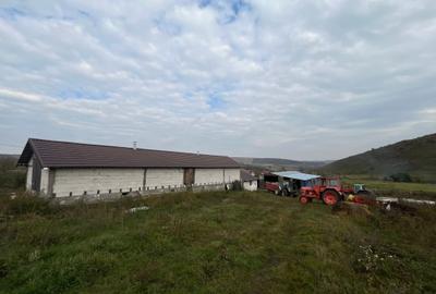 Teren Construcții intravilan de 6500 mp, în Frata - 7