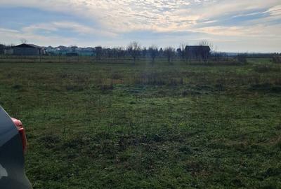 Teren de 2367 mp, în Nojorid - 6