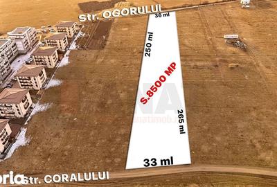 Teren de 8500 mp, în Turnișor - 3