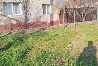 Casă cu Teren 1400 Mp în Zerind - 4
