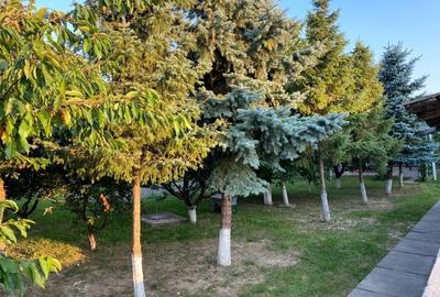 Spațiu comercial, în Hudum - 5