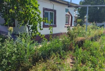 Casa de vanzare in Garbovi, jud. Ialomita - la doar 70 km de Bucuresti! - 15