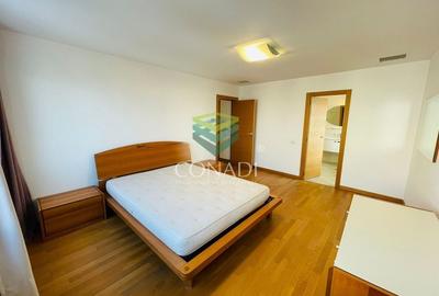 Iancu Nicolae, vila de inchiriat, 5 camere - 7