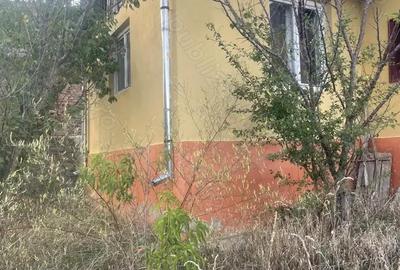 Casă cu 2 camere în Ormeniș - 12