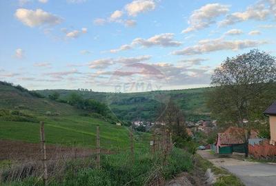 Teren intravilan in Tarnaveni! - 3