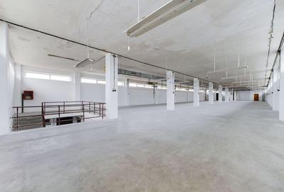 Hala de 2050 mp in Arad - 25