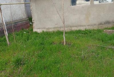 Casă cu 2 camere cu Teren 330 Mp în Central - 4